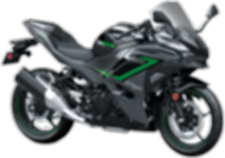 Kawasaki Ninja 500 SE