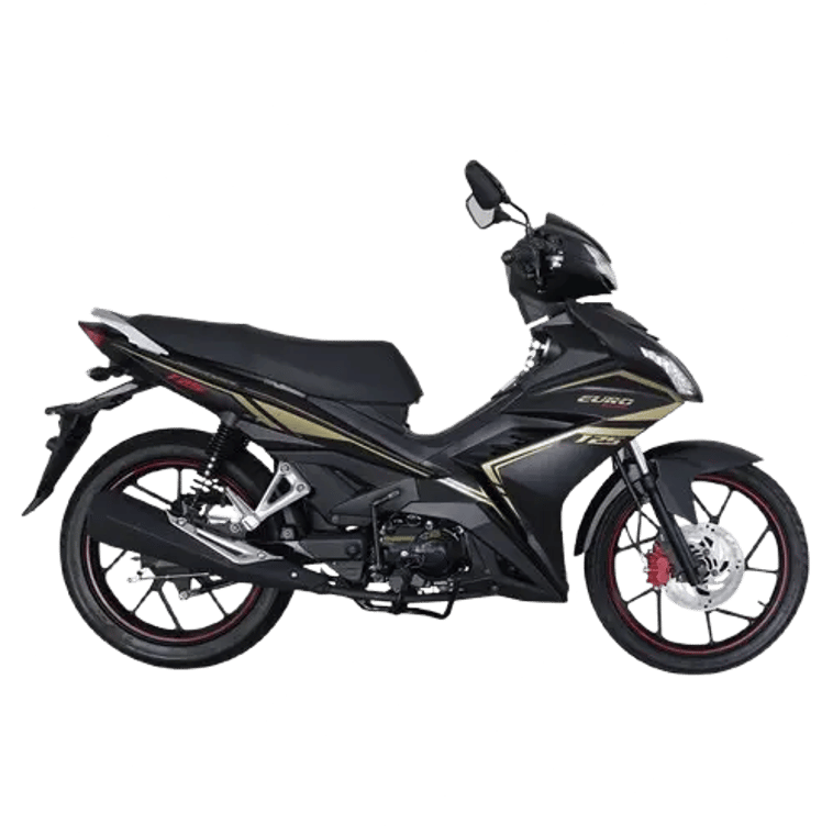 Euro Motor Marvel 125 Euro Motor Marvel 125